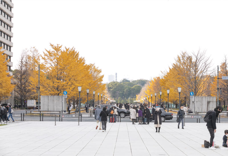 東京駅前の横断報道を渡る写真