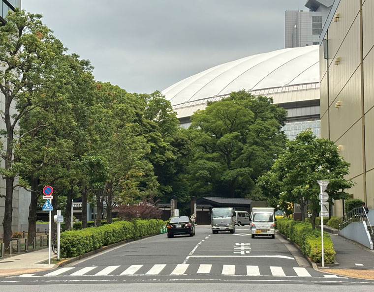 東京ドーム