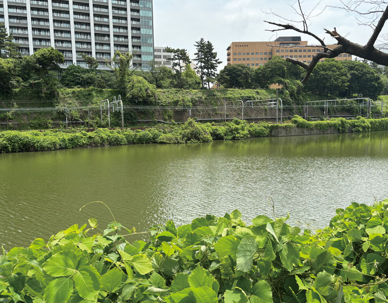 外濠公園
