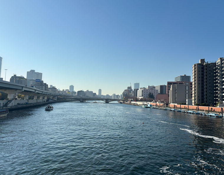 厩橋から望む隅田川