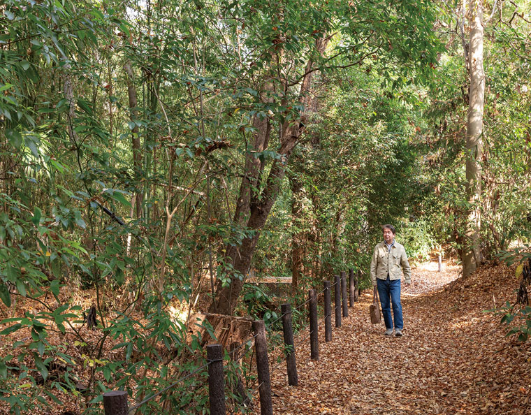 川づたいの小路